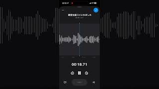 【鏡音生誕18th】鏡音たちから音声ファイルが届きました #vocaloid #ワンオポ #鏡音リンレン