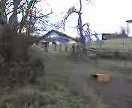 neuberger fliegt auf die fresse