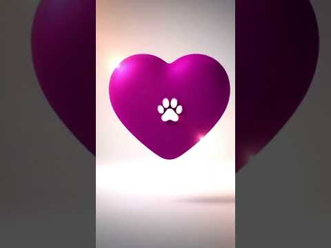 Vídeo de Lua