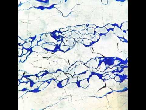 Clams Casino - Always Have a Choice [Havoc]