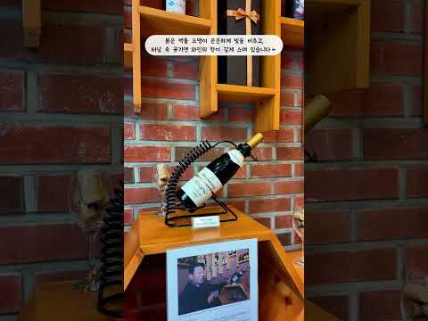 [2025새영천알림이단