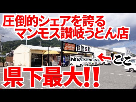 (¡¡4 millones de personas vienen a comer cada año!! ¡¡El gigantesco restaurante Sanuki udon más grande de la prefectura!!] ¡¡22 tiendas en la prefectura de Kagawa!! ︎Un famoso restaurante Sanuki udon frecuentado por una gran cantidad de lugareños [Kogane Seimenjo Kinashi] Ciudad de Takamatsu, Prefectura de Kagawa