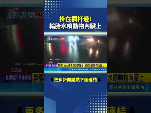 掛在欄杆邊! 輪胎水噴動物內臟上｜三立新聞網 SETN.com