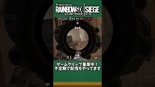 「味方が撃ったらピーク」が結局強い【#R6S #シージX #shorts】