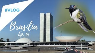 Passarinhando em BRASÍLIA- EP. 1 Praça dos Cristais e Altiplano Leste