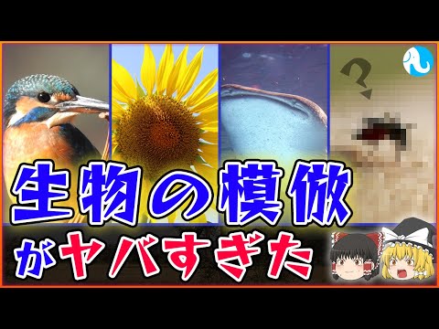 IUCN分類における絶滅の危険性を示す図。
