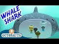 Octonauts The Whale Shark Series 1 Full Episode Cartoons For Kids