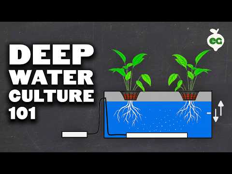 How to Prepare Water for Hydroponics