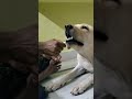 Don T Be Jealous Cooper Jealous ChewStyle