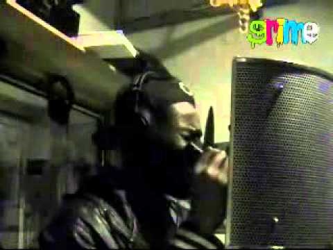 Terminator - Studio Mayhem Vol.1