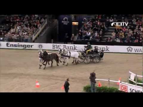 FEI World Cup Driving 2012/13 Stuttgart - Jozsef Dobrovitz (3rd)