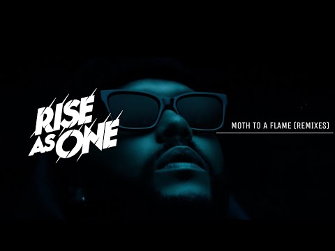 SHM & The Weeknd Vs. David Guetta & Morten - Moth To A Flame (Rise As One Remix) Official Video