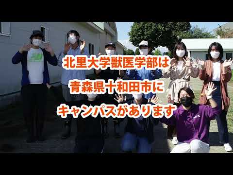 獣医学科 【北里大学獣医学部  動物資源科学科】十和田キャンパス紹介