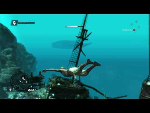 Assassin's Creed® IV Black Flag Megattera