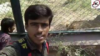 preview picture of video 'Machiya Biological Park Jodhpur माचिया सफारी बायोलॉजिकल पार्क जोधपुर | एशियाई शेर,मरु लोमड़ी भालू'