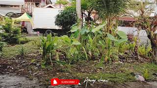 Download lagu boy sandy feat nining - kok indak kini mp3