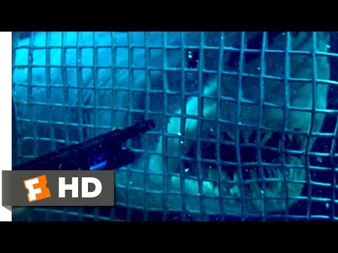 Deep Blue Sea (1999) - Smart Sharks Scene (2/10) | Movieclips