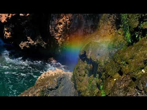 Cântare creștină cu versuri "Te rog Isuse" - Mariana Someșan