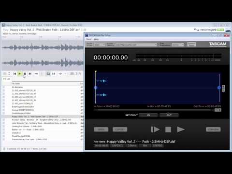 DSD Scanning Speed (Resonic Beta)
