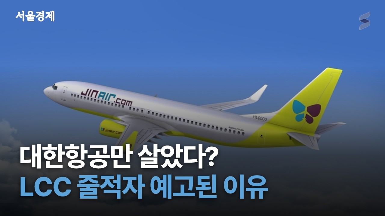 대한항공 빼고 다 적자? LCC의 비명 '5000억 증발'