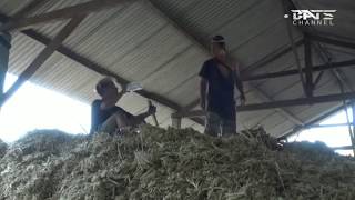 Download lagu Story wa agus kotak wayahe wayahe laut lucu mp3