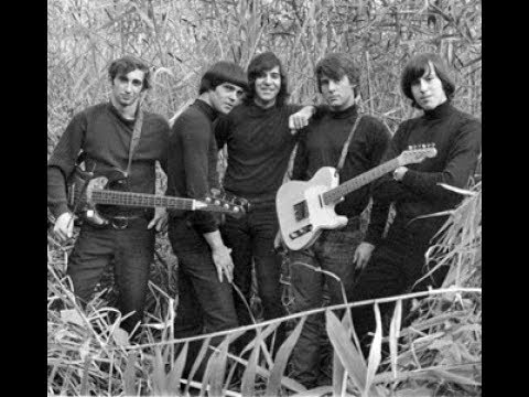 60's garage band compilation - And Her Name Is...K  (E)