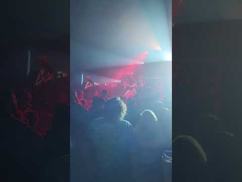 Pigeons Playing Ping Pong at town ballroom, Buffalo NY.