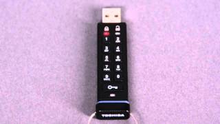 Encrypted USB Flash Drive Reset Pin