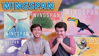 kovray - Wingspan video thumbnail