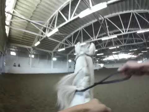 GoPro barrel racing!