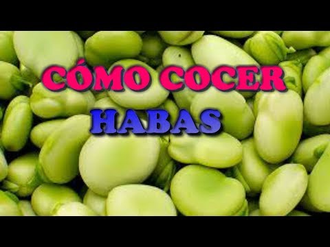 download lagu mp3 mp4 Habas Verdes, download lagu Habas Verdes gratis, unduh video klip Habas Verdes