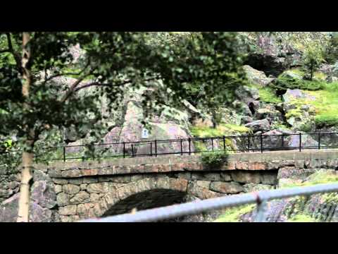 Norseman - The Race (Trailer).mov