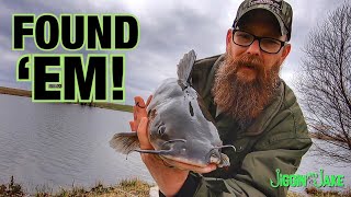 Searching for Early Spring Channel Catfish in Shallow Water