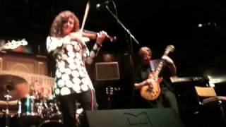 Stackridge Red Squirrel Huntingdon Hall 3 5 11