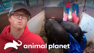 Thumbnail del capítulo