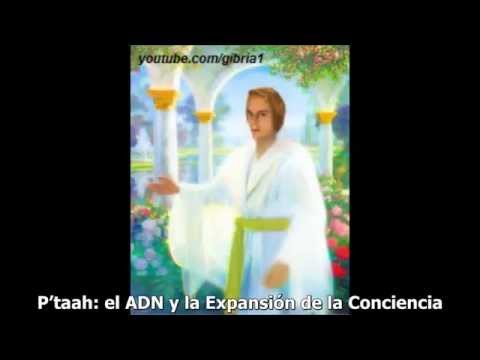 P'TAAH en español: La expansión de consciencia y el ADN