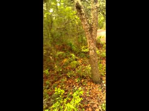 Bond Arms Snake Slayer