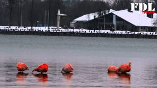 preview picture of video '5 Flamingos am Chiemsee - 05.02.2015'