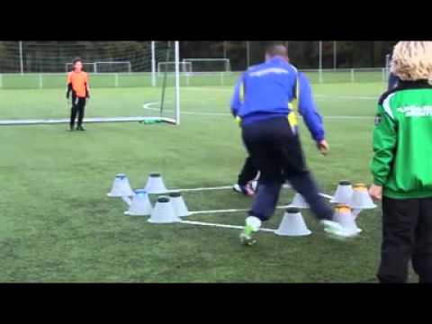 Bicentini Foundation - SmartGoals