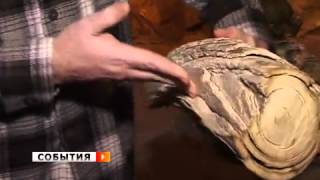 Находки дайвера будоражат воображение палеонтологов