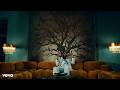 Burna Boy NO STRESS Official Music Video