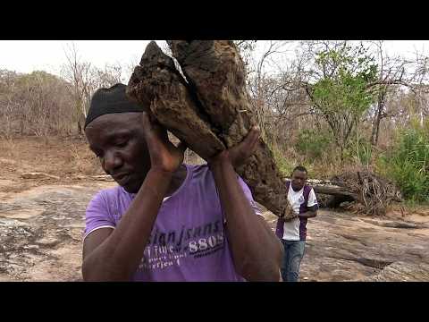 Extreme survival in Mozambique