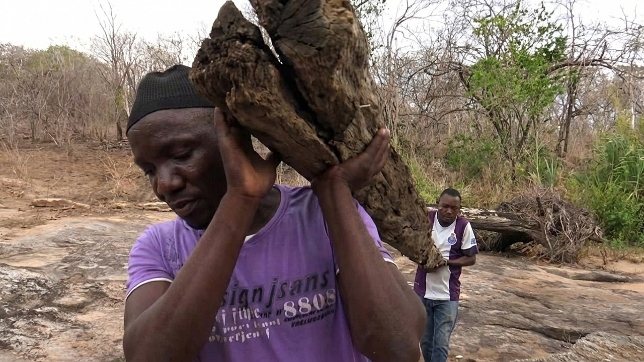 Extreme survival in Mozambique