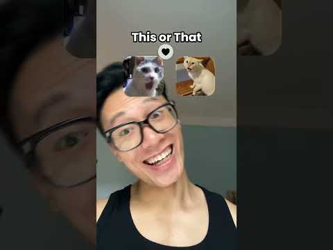 Cat😳😳😸😸😺😺🐈‍⬛🐈‍⬛🐈‍⬛🐈🐈#funny #shorts