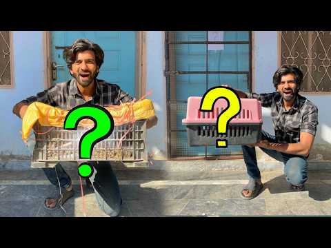 Big Surprise Agya 😃