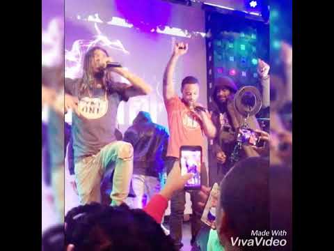 Loo Hefner x SNAAPORDIE - PLAY WITH THE MONEY