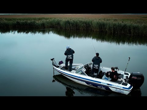 Fly vs Jerk: Unbelievable Turn of Events! New Episode Coming Soon!