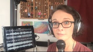 Poker Face - Lady Gaga (a cappella cover w a looper)