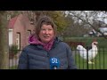 Duizenden kippen geruimd: 'Nachtmerrie van iedere pluimveehouder'