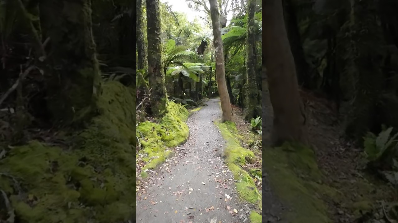 YouTube Short thumbnail